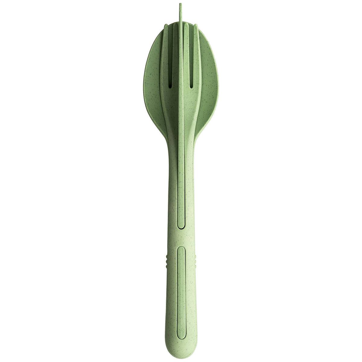 nature leaf green
