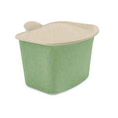 nature leaf green / 8618703