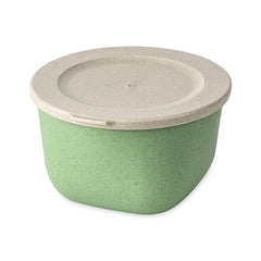 nature leaf green / 8622703