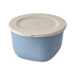 nature flower blue / 8622716