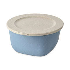 nature flower blue / 8623716