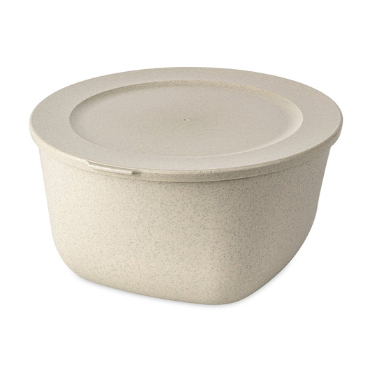 koziol Box mit Deckel 4l CONNECT BOX 4