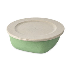 nature leaf green / 8615703