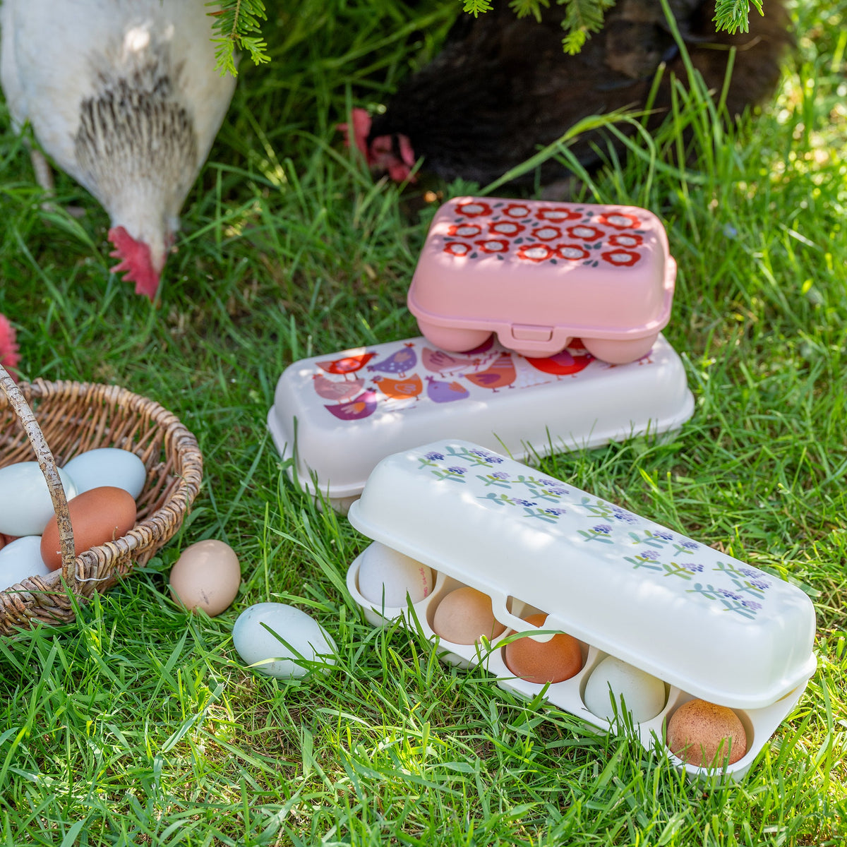 koziol egg box EGGS TO GO BLOOMIES BLOSSOM