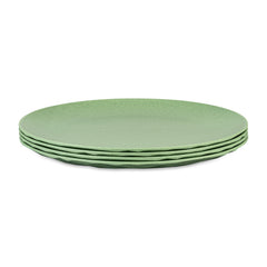 nature leaf green / 8638703