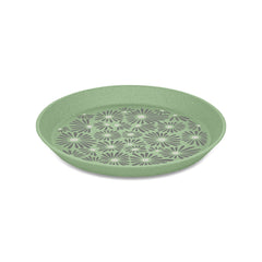 nature leaf green