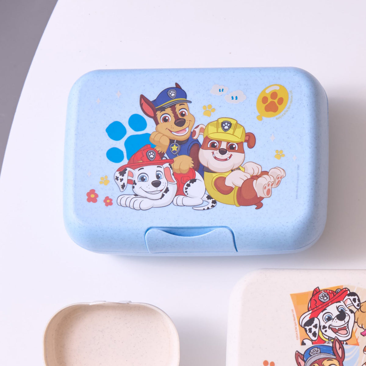 koziol lunch box with dividing tray CANDY L GROW PAW PATROL