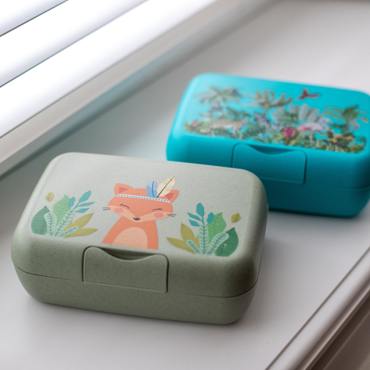 koziol lunch box with dividing tray CANDY L HARRY