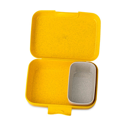 koziol lunch box with dividing tray CANDY L SPONGEBOB SQUIDWARD