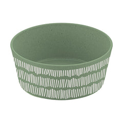 nature leaf green