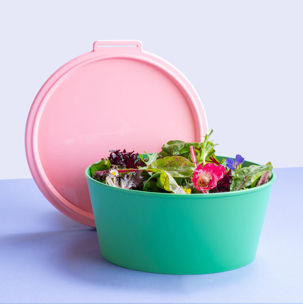 koziol bowl with lid NORA BOX 2,2l